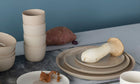 Plate 210 / Gray Clay