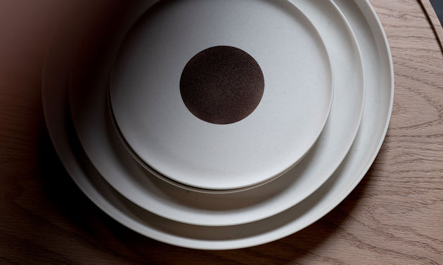 Plate 210 / Spray Color